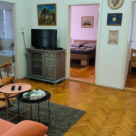 Appartement Trosoban Stan U Zenici à Zenica Extérieur photo